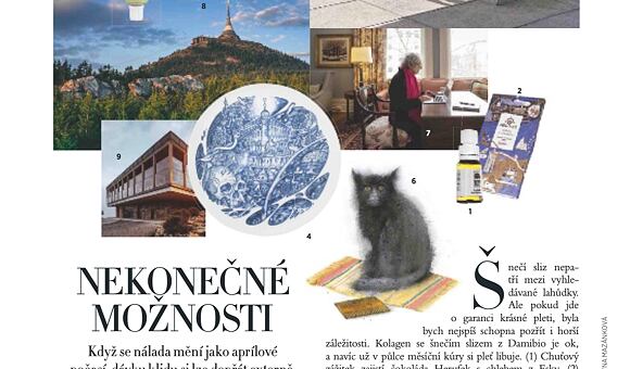 Bio Snail v Harper 's Bazaaru