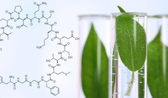 Jedinečné Molekuly. Objevte sílu balíčků přírodní kosmetiky ESSERE