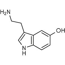 Serotonin